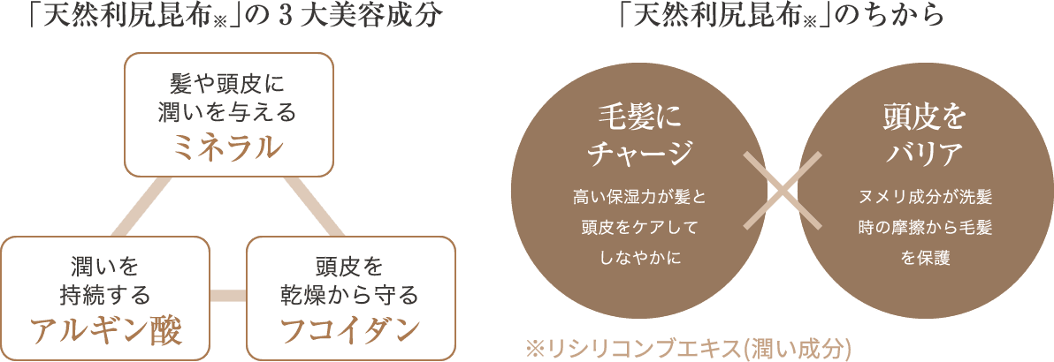 「天然利尻昆布」の3大美容成分 髪や頭皮に潤いを与えるミネラル 潤いを持続するアルギン酸 頭皮を乾燥から守るフニイダン 「天然利尻昆布」のちから 毛髪にチャージ 高い保湿力が髪と頭皮をケアしてしなやかに 頭皮をバリア ヌメリ成分が洗髪時の摩擦から毛髪を保護 ※リシリコンプエキス(潤い成分)