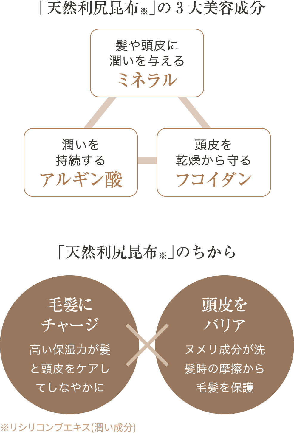 「天然利尻昆布」の3大美容成分 髪や頭皮に潤いを与えるミネラル 潤いを持続するアルギン酸 頭皮を乾燥から守るフニイダン 「天然利尻昆布」のちから 毛髪にチャージ 高い保湿力が髪と頭皮をケアしてしなやかに 頭皮をバリア ヌメリ成分が洗髪時の摩擦から毛髪を保護 ※リシリコンプエキス(潤い成分)