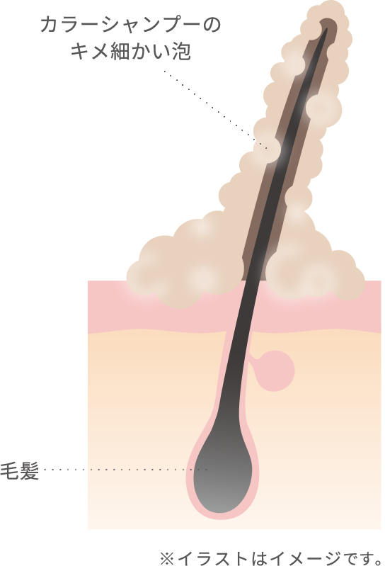 カラーシャンプーのキメ細かい泡 毛髪 ※イラストはイメージ