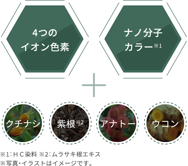 4つのイオン色素 ナノ分子カラー※1 クチナシ 紫根※2 アナトー ウコン ※1:HC染料 ※2:ムラサキ根エキス※写真・イラストはイメージです。