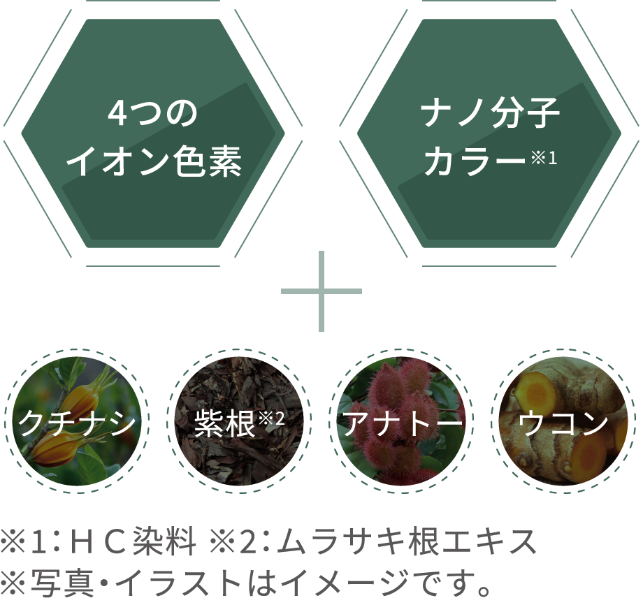 4つのイオン色素 ナノ分子カラー※1 クチナシ 紫根※2 アナトー ウコン ※1:HC染料 ※2:ムラサキ根エキス※写真・イラストはイメージです。