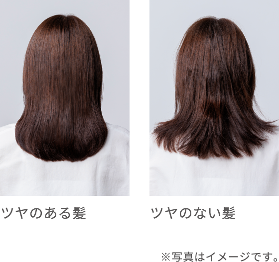 ツヤのある髪 ツヤのない髪 ※写真はイメージです。