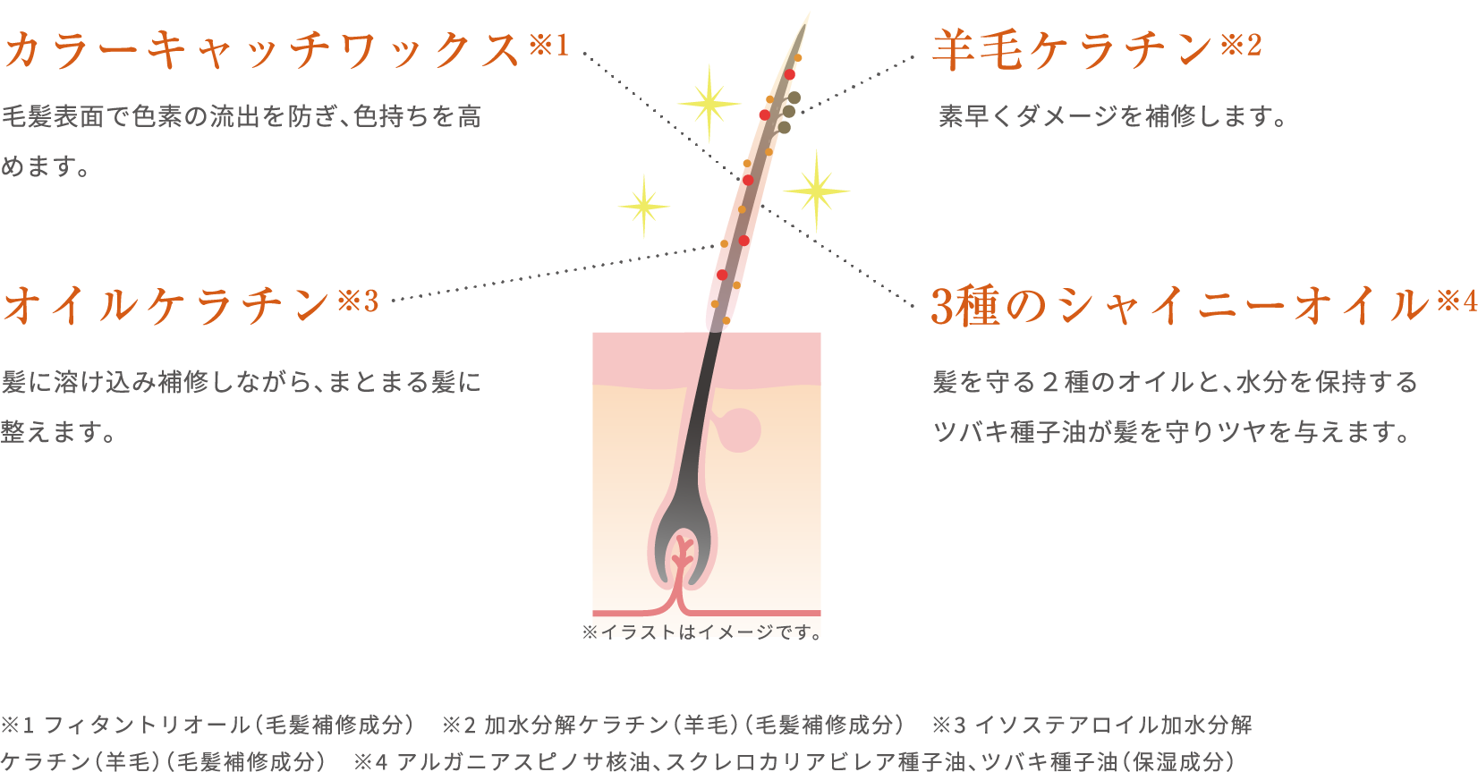 カラーキャッチワックス※1 毛髪表面で色素の流出を防ぎ、色持ちを高めます。羊毛ケラチン※2 素早くダメージを補修します。 オイルケラチン※3 髪に溶け込み補修しながら、まとまる髪に整えます。3種のシャイニーオイル※4 髪を守る2種のオイルと、水分を保持するツバキ種子油が髪を守り艶を与えます。