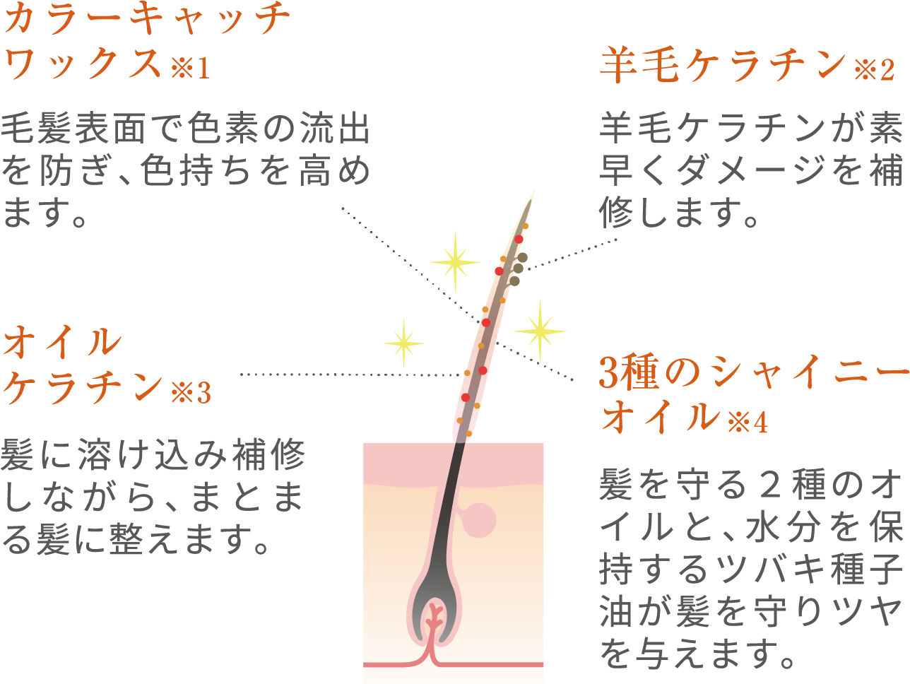 カラーキャッチワックス※1 毛髪表面で色素の流出を防ぎ、色持ちを高めます。羊毛ケラチン※2 素早くダメージを補修します。 オイルケラチン※3 髪に溶け込み補修しながら、まとまる髪に整えます。3種のシャイニーオイル※4 髪を守る2種のオイルと、水分を保持するツバキ種子油が髪を守り艶を与えます。