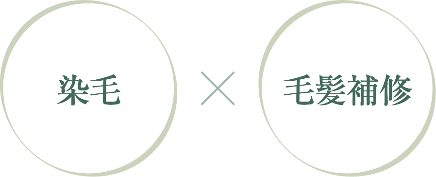 染毛 毛髪補修