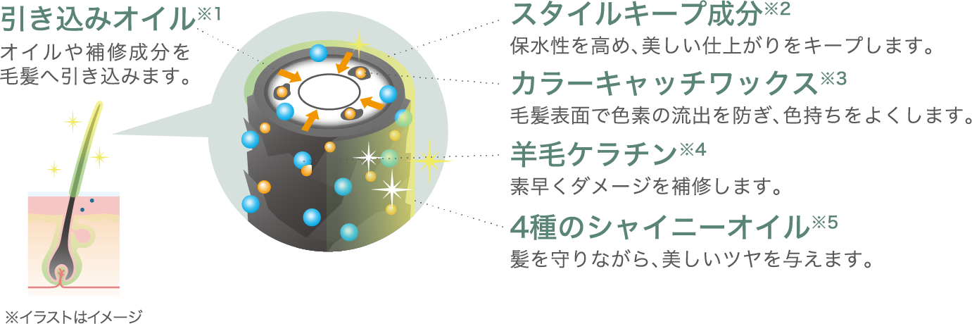 引き込みオイル※1 オイルや補修成分を毛髪へ引き込みます。 スタイルキープ成分※2 保水性を高め、美しい仕上がりをキープします。 カラーキャッチワックス※3 毛髪表面で色素の流出を防ぎ、色持ちをよくします。 羊毛ケラチン※4 素早くダメージを補修します。 4種のシャイニーオイル※54種のシャイニーオイル※5 髪を守りながら、美しいツヤを与えます。 ※イラストはイメージ