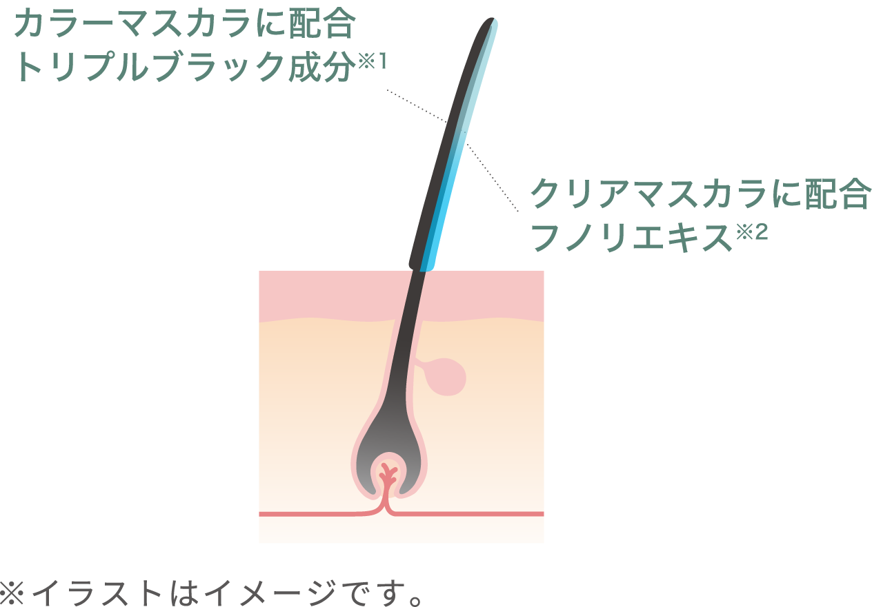 カラーマスカラに配合 トリプルブラック成分 クリアマスカラに配合 フノリエキス