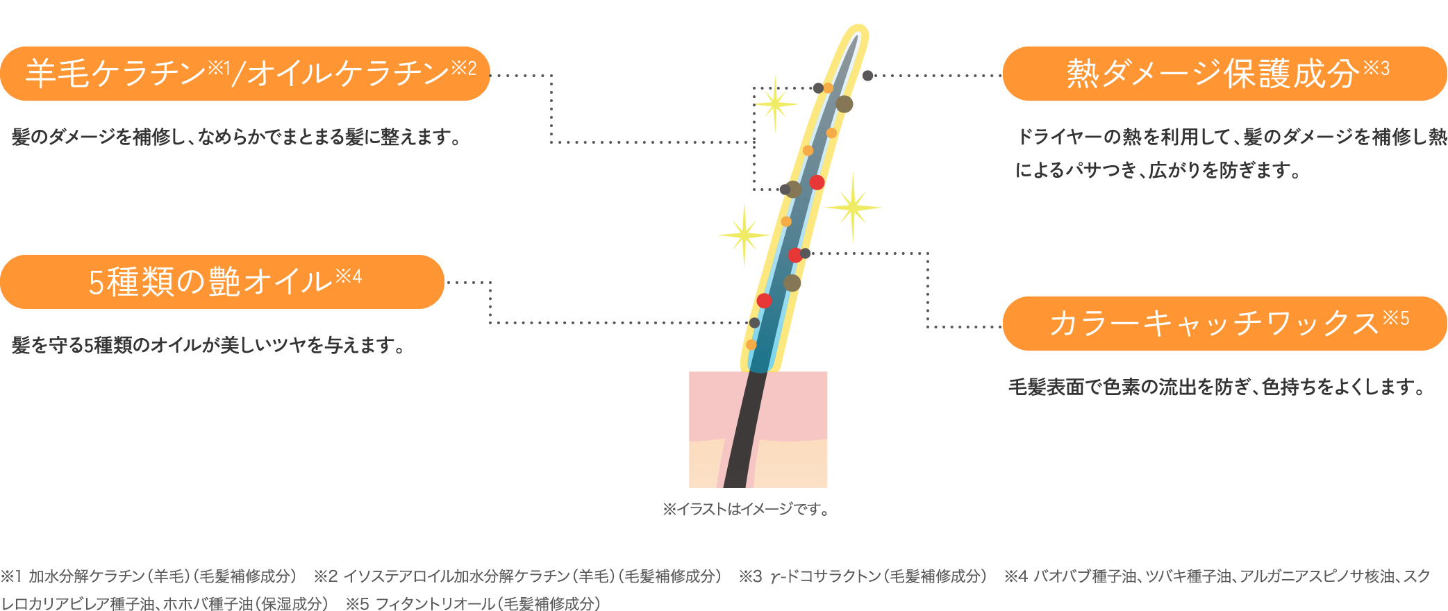 成分イメージ図